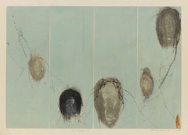 觸鬚-27的焦點圖