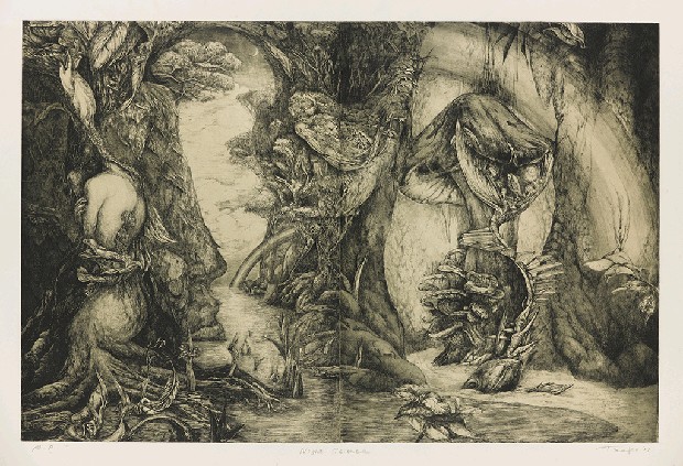 藏品:夜間的科舉的(1)張圖片