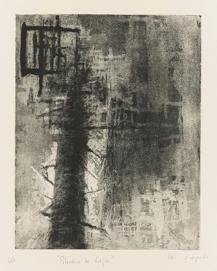 老男人的塵暴的焦點圖