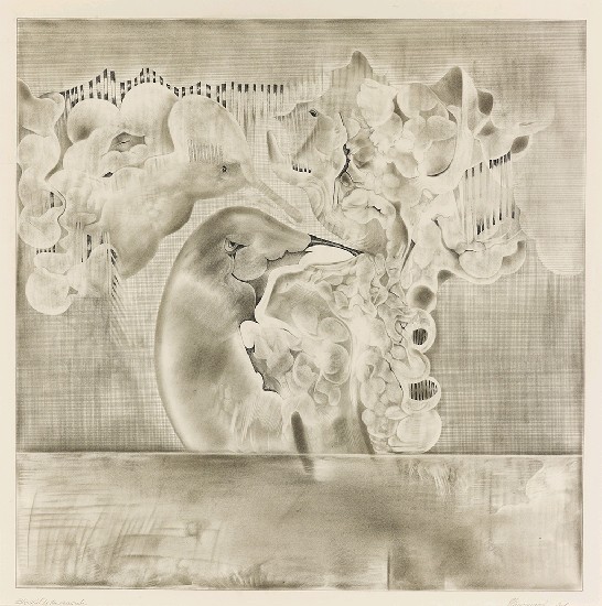 海邊的歡樂的焦點圖