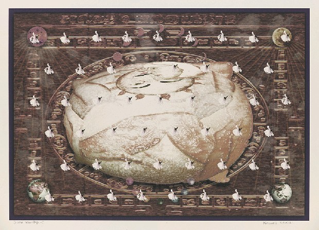 日光婚姻-C的焦點圖