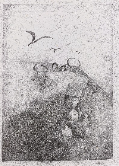 藏品:空地中的鳥的(1)張圖片