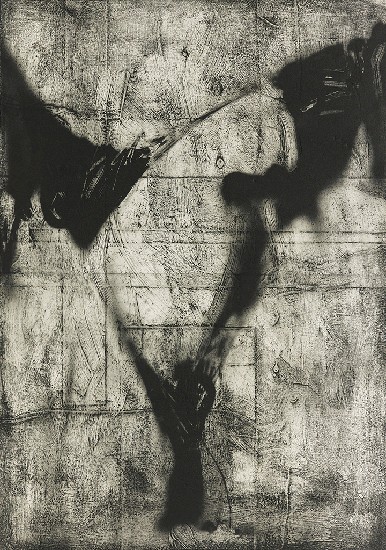 藏品:九月微熱的(1)張圖片