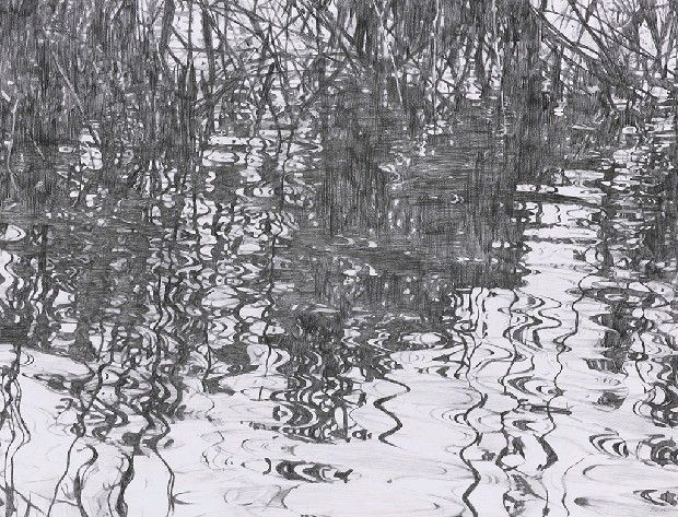 湖面上的焦點圖