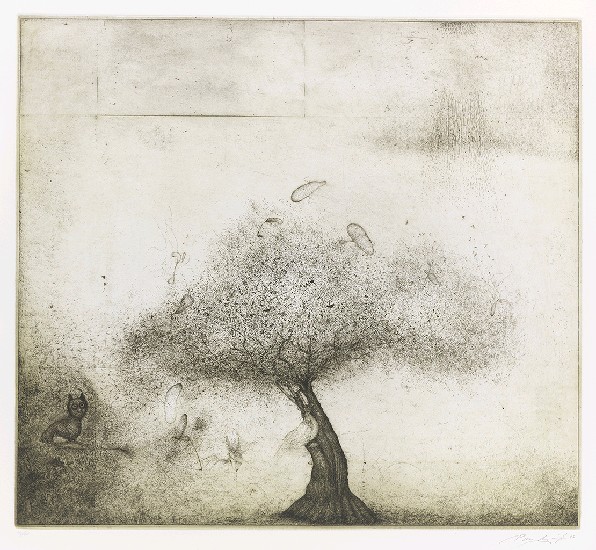 小貓頭鷹的焦點圖