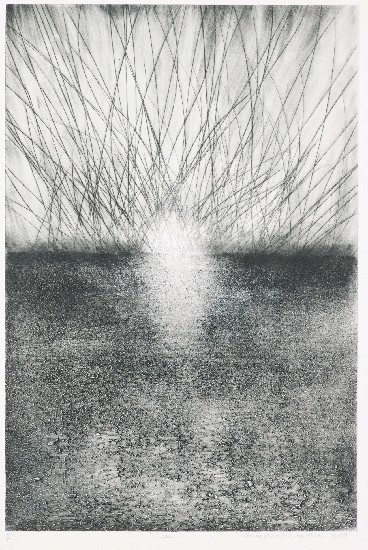 藏品:軌跡的(1)張圖片