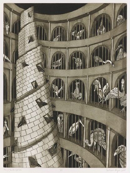 藏品:圓形監獄之蠢的(1)張圖片