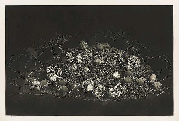 藏品:靜謐之林的(1)張圖片