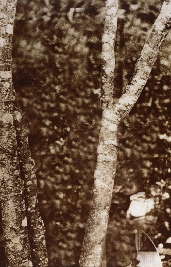 藏品:隱形計畫之生活中的影子族系列的(8)張圖片