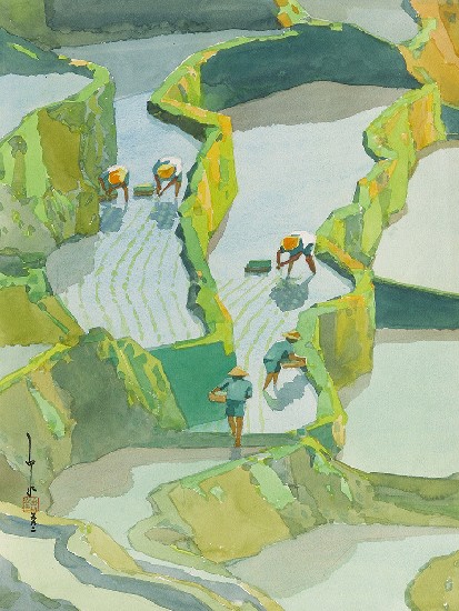 藏品:插秧忙的(1)張圖片