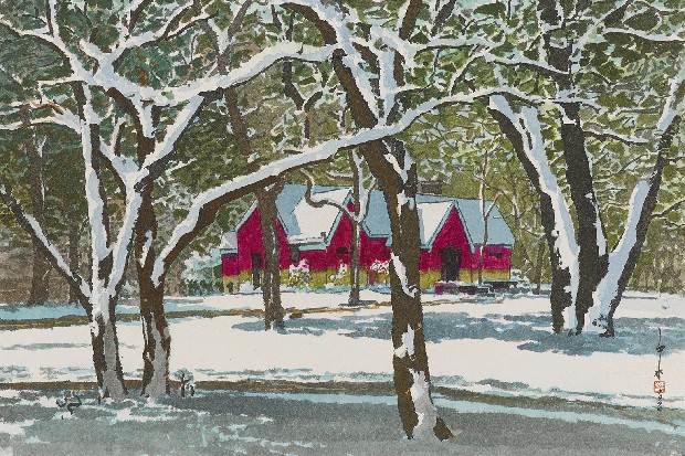 藏品:公園雪後的(1)張圖片