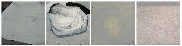 海韻組曲(四連作)的焦點圖