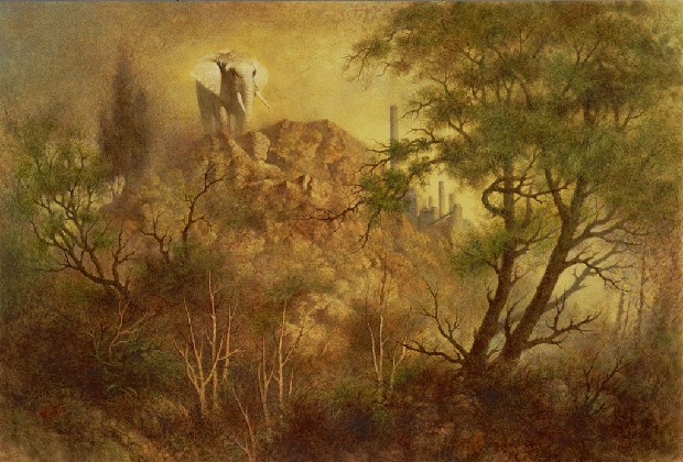 藏品:我站在這裡的(1)張圖片