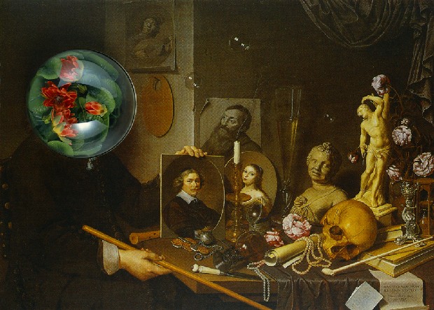 藏品:Material Paradise-荷花的(1)張圖片