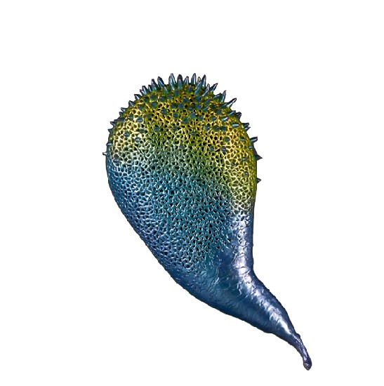 藏品:無題的(3)張圖片