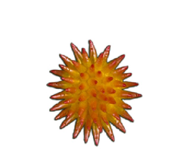 藏品:無題的(4)張圖片