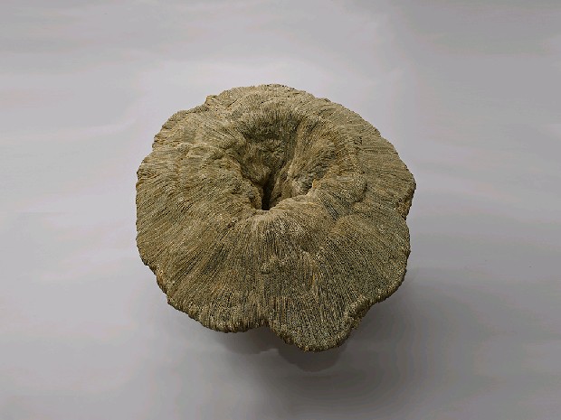 藏品:漩的(1)張圖片