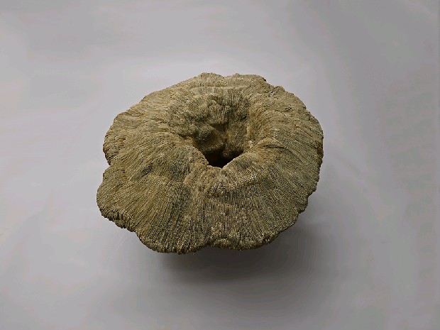 藏品:漩的(3)張圖片