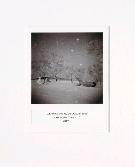 藏品:目費仁波切靈視攝影-最後風景系列的(19)張圖片