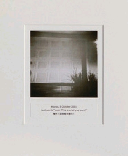 藏品:目費仁波切靈視攝影-最後風景系列的(25)張圖片