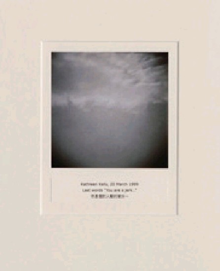 藏品:目費仁波切靈視攝影-最後風景系列的(29)張圖片