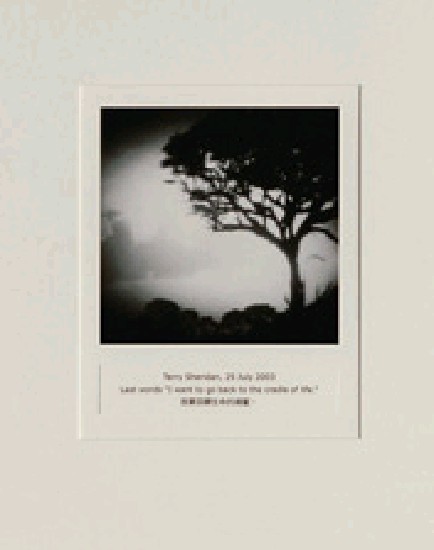 藏品:目費仁波切靈視攝影-最後風景系列的(34)張圖片