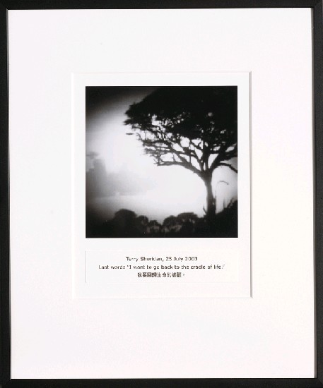 藏品:目費仁波切靈視攝影-最後風景系列的(84)張圖片