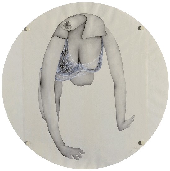 藏品:窺穎私的(4)張圖片