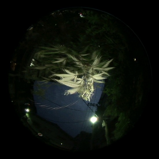 藏品:流自慢的(7)張圖片