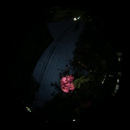 藏品:流自慢的(9)張圖片