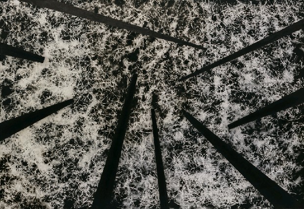 藏品:聲林1的(1)張圖片