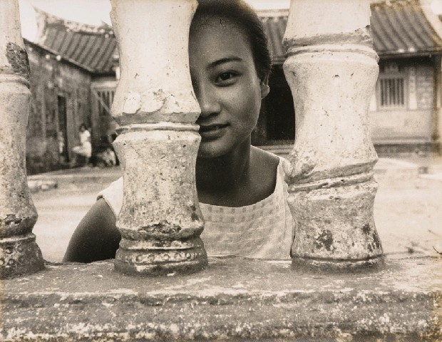 藏品:羞怯的(1)張圖片