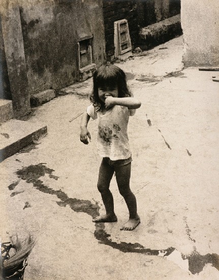 藏品:純真的(1)張圖片