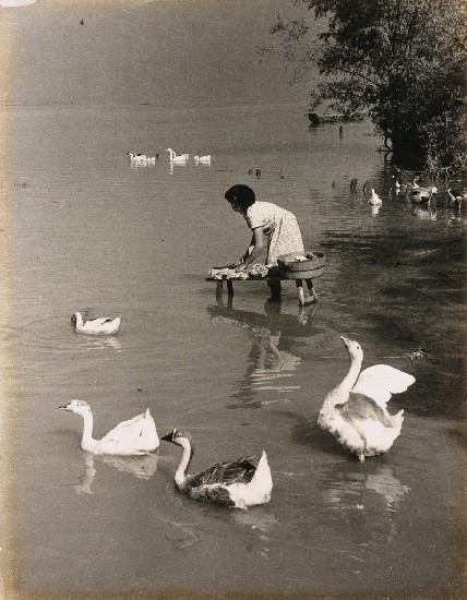 藏品:河邊洗衣{直式}的(1)張圖片