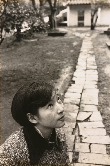 藏品:仰望的(1)張圖片