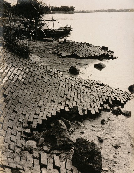 藏品:河岸的(1)張圖片