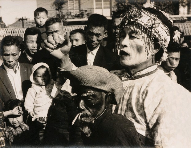 藏品:表演的(1)張圖片