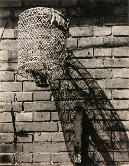 藏品:竹籠的(1)張圖片