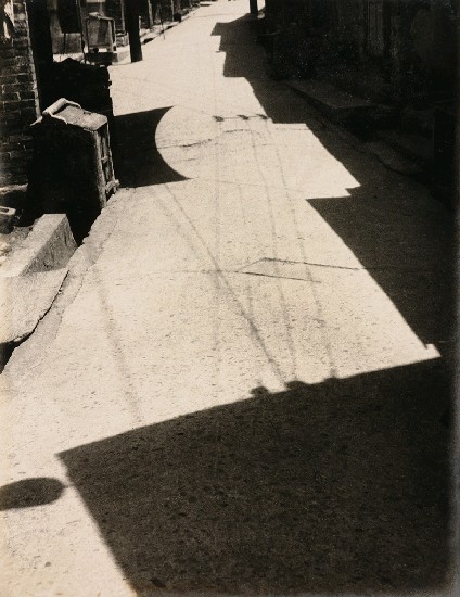 藏品:屋影的(1)張圖片