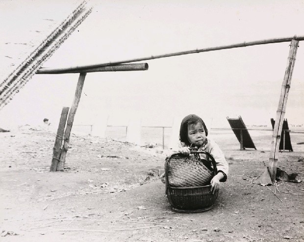 藏品:小女孩的(1)張圖片