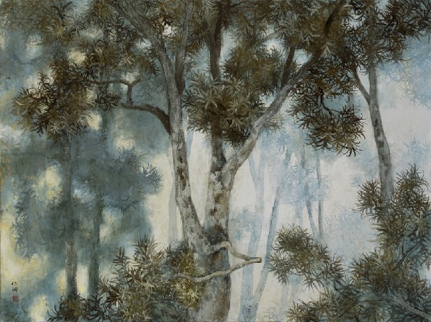 藏品:相思樹的(1)張圖片