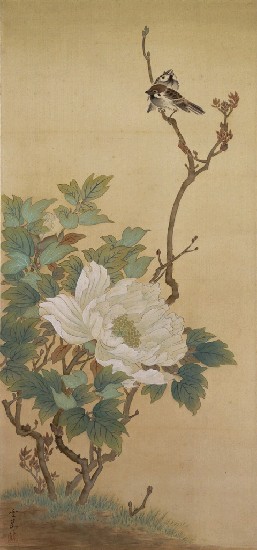 藏品:後苑之花的(1)張圖片