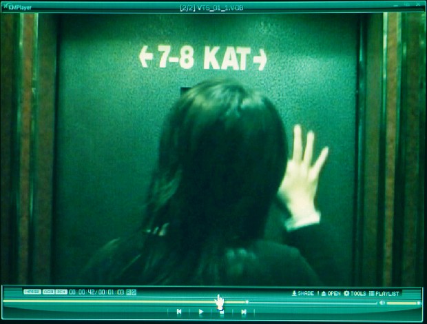 藏品:壁虎的(1)張圖片