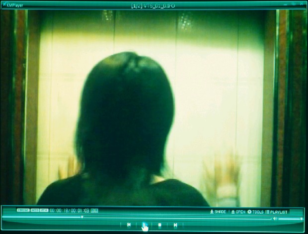 藏品:壁虎的(2)張圖片