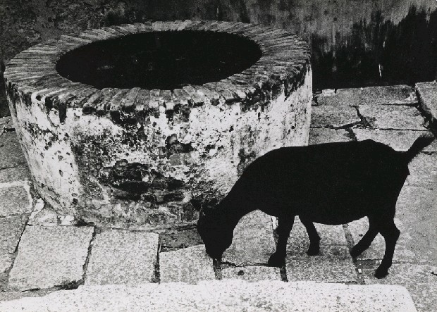 藏品:井的(1)張圖片