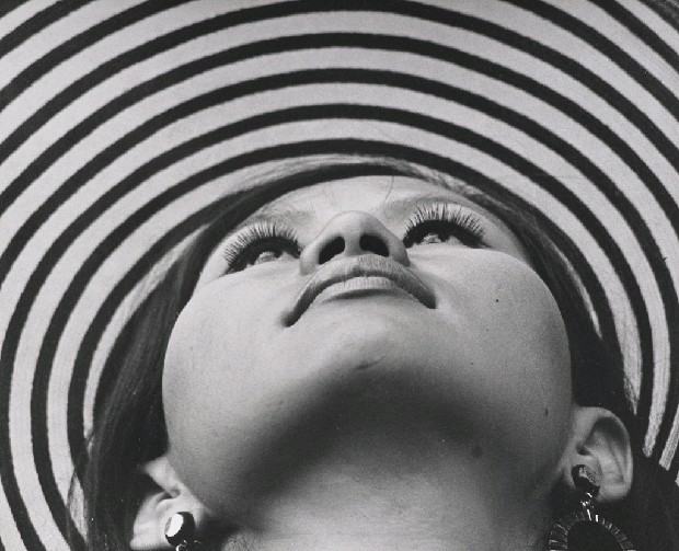 藏品:仰望的(1)張圖片