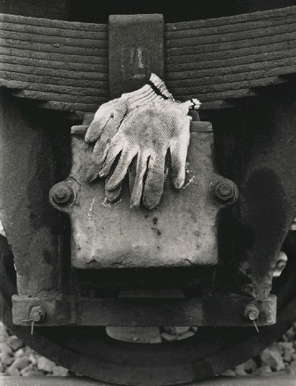 藏品:遺棄的(1)張圖片