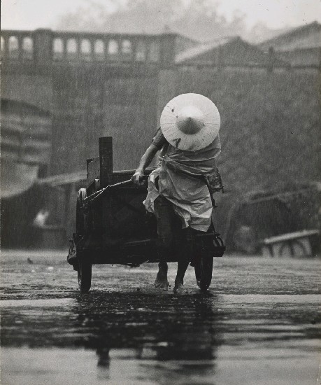 藏品:為誰辛苦為誰忙的(1)張圖片