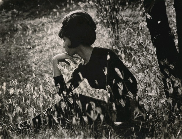 藏品:秋意的(1)張圖片