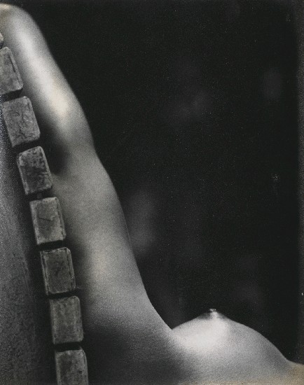 藏品:另一種視覺的(1)張圖片